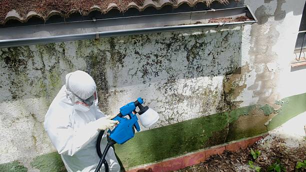 Top rated local Basement Mold Removal specialists in Oxford, PA